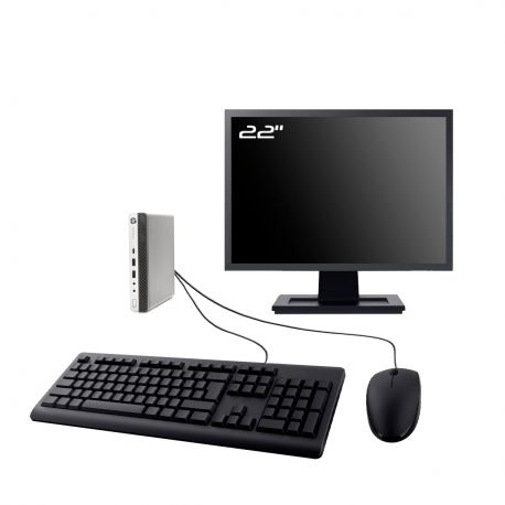 PC HP ProDesk 600 G3 Mini Ecran 22" Intel I5-6500T RAM 16Go SSD 960Go W11 Wifi