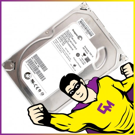 Disque Dur 250Go 3.5" Seagate HDD ST3250318AS SATA II 3 Gbps 7200tr/min