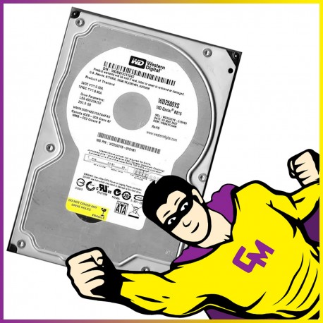 Disque Dur 250Go 3.5" Western Digital WD2500YS SATA II 3 Gb/s HDD 7200 RPM