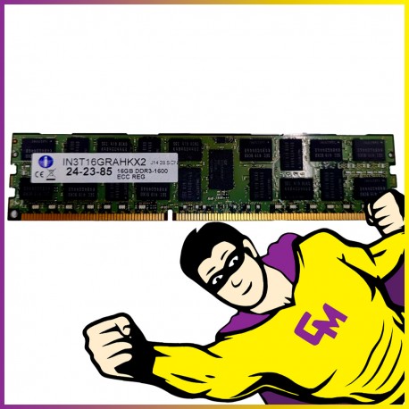 16Go RAM DDR3 PC3L-12800R IN3T16GRAHKX2 DIMM Mémoire Serveur ECC REG MonsieurCyberman