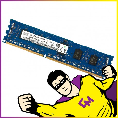 4Go RAM DDR3 PC3-14900R HMT451R7AFR8C-RD DIMM Mémoire Serveur ECC REG MonsieurCyberman