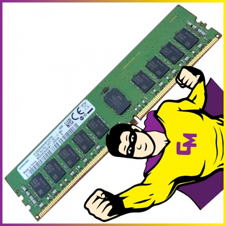 16Go RAM DDR4 PC4-19200R M393A2K40CB1-CRC4Q DIMM Mémoire Serveur ECC REG MonsieurCyberman