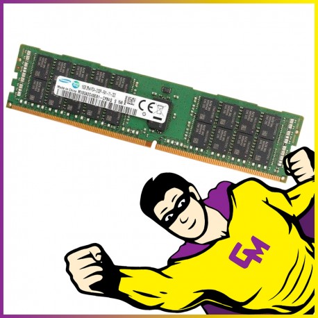 16Go RAM DDR4 PC4-21333R M393A2G40EB1-CPB0Q DIMM Mémoire Serveur ECC REG MonsieurCyberman