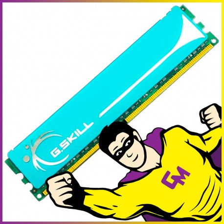 2Go RAM DDR2 PC2-8500 F2-8500CL5D-4GBPK DIMM Mémoire PC MonsieurCyberman