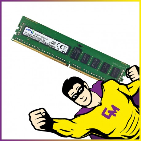 8Go RAM DDR4 PC4-17000 M393A1G43DB0-CPB DIMM Mémoire Serveur ECC REG MonsieurCyberman