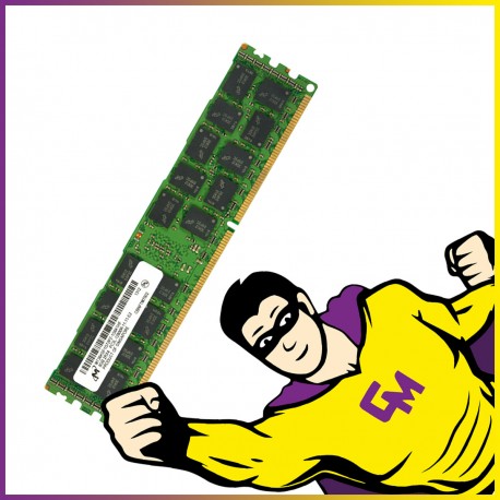 8Go RAM DDR3 PC3L-12800R MT36KSF1G72PZ-1G6K1HF DIMM Mémoire Serveur ECC REG MonsieurCyberman