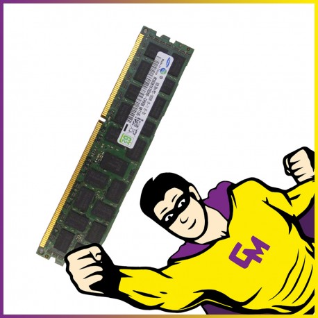 8Go RAM DDR3 PC3-10600R M393B1K70DH0-CH9Q8 DIMM Mémoire Serveur ECC REG MonsieurCyberman